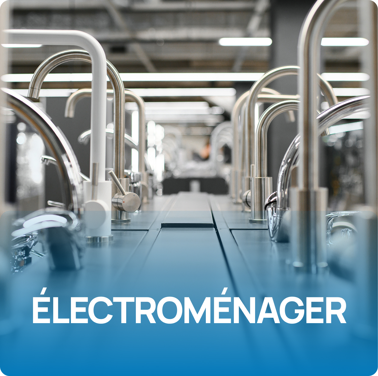 ELECTROMENAGER